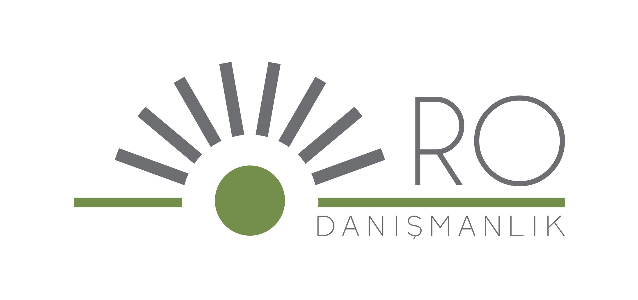 RO Danışmanlık Logo